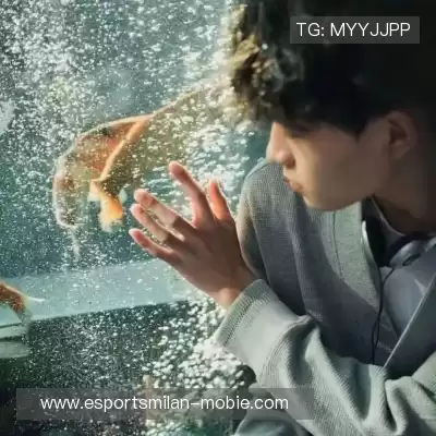 万桢翼
